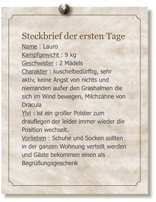Steckbrief der ersten Tage Name : Lauro Kampfgewicht : 9 kg Geschwister : 2 M�dels Charakter : kuschelbed�rftig, sehr  aktiv, keine Angst von nichts und niemanden au�er den Grashalmen die sich im Wind bewegen, Milchz�hne von Dracula  Ylvi : ist ein gro�er Polster zum drauflegen der leider immer wieder die Position wechselt.  Vorlieben : Schuhe und Socken sollten in der ganzen Wohnung verteilt werden und G�ste bekommen einen als Begr��ungsgeschenk